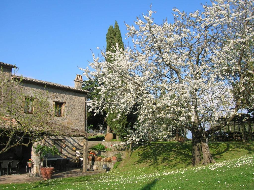 La Chiusetta Vila Orvieto Exterior foto